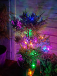 20181124_172451.jpg