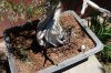 DSC_000200014.JPG
