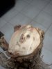 IMG220.jpg IMG220.jpg