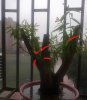 smaller20120801886.jpg