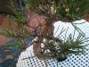 2012-08-07 19.15.32.jpg