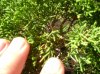 DSC03705.jpg