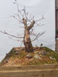 20181125_142730.jpg