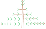 Trunk Taper Development.png Trunk Taper Development.png