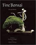 FINE BONSAI.JPG