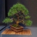 IMG_20190106_212005_605.jpg IMG_20190106_212005_605.jpg