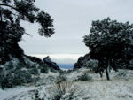 09window in snow.JPG