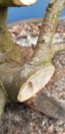 20190218_111712.jpg