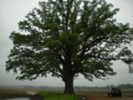 DSCN3293.jpg