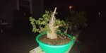 20180427_221026.jpg