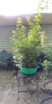20181008_113614.jpg