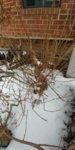 20190301_092547.jpg