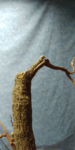 20190316_125118_1553003434002.png