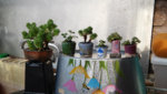 a JTS 20180313_180116.jpg