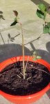 20190414_081324.jpg
