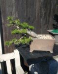 IMG_20190419_160826.jpg