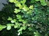 IMG_20121117_044453.jpg