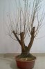 201212101129sm.jpg
