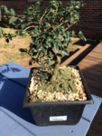 IMG_20190507_175742.png
