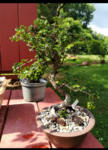 IMG_20190507_175800.png