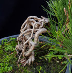 20190531_095045-Edit.jpg