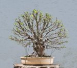 2019-06-TSB_0249ofw.jpg