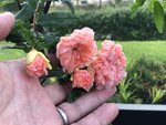2E057723-33F4-4BC6-ADD5-07687957DDD4.jpeg
