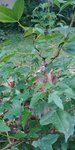 20190609_163549.jpg
