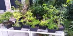 IMG_20190614_064527.jpg