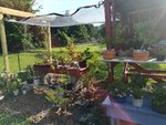 IMG_20190629_173459.jpg
