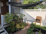 IMG_2373.jpg