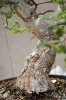 DSC_2611.JPG