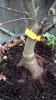 2012-12-29_13-27-40_467.jpg