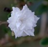 DSC01374.jpg