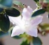DSC01384-2.jpg