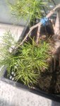 20190715_172746.jpg