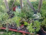 20190717_072736.jpg
