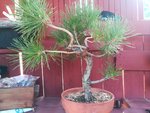IMG_20190718_182311.jpg