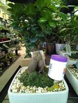 IMG_20190721_104504.jpg