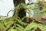 DSC00756-22.jpg