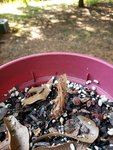 20190818_173425.jpg