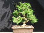 DSCN0683.JPG