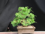 DSCN0690.JPG