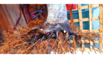 Untitled (2).png