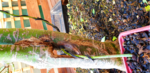 Untitled (10).png