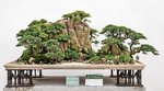 lands1 (1).jpg