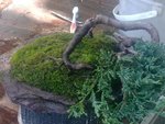 20190827_095703.jpg