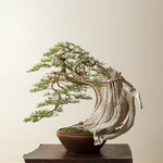 Ben Oki Juniper Studio Hero.jpg Ben Oki Juniper Studio Hero.jpg