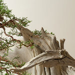 Ben Oki Juniper Studio Detail-04.jpg Ben Oki Juniper Studio Detail-04.jpg