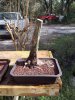 20130204_150700.jpg